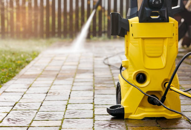 Animal Enclosure Cleaning in Millers Falls, MA
